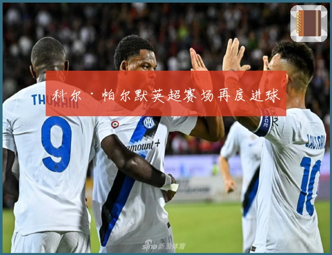 科尔·帕尔默英超赛场再度进球