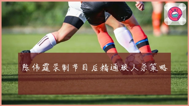 陈伟霆录制节目后精通狼人杀策略