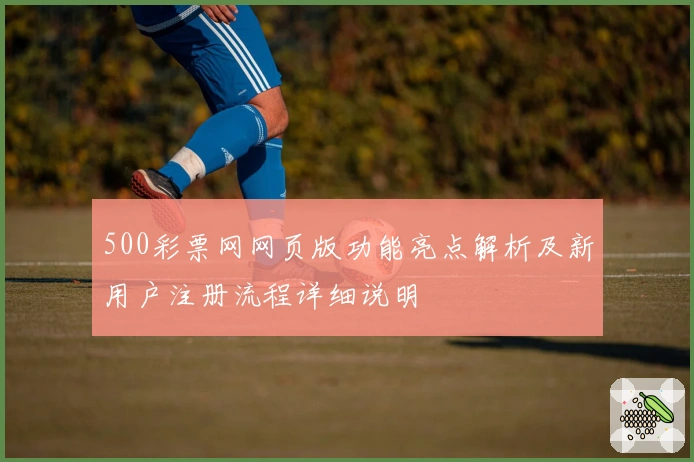 500彩票网网页版功能亮点解析及新用户注册流程详细说明