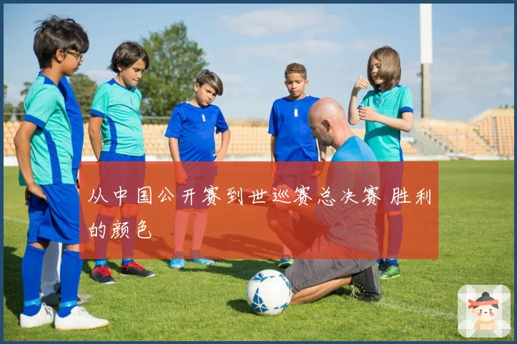 从中国公开赛到世巡赛总决赛 胜利的颜色
